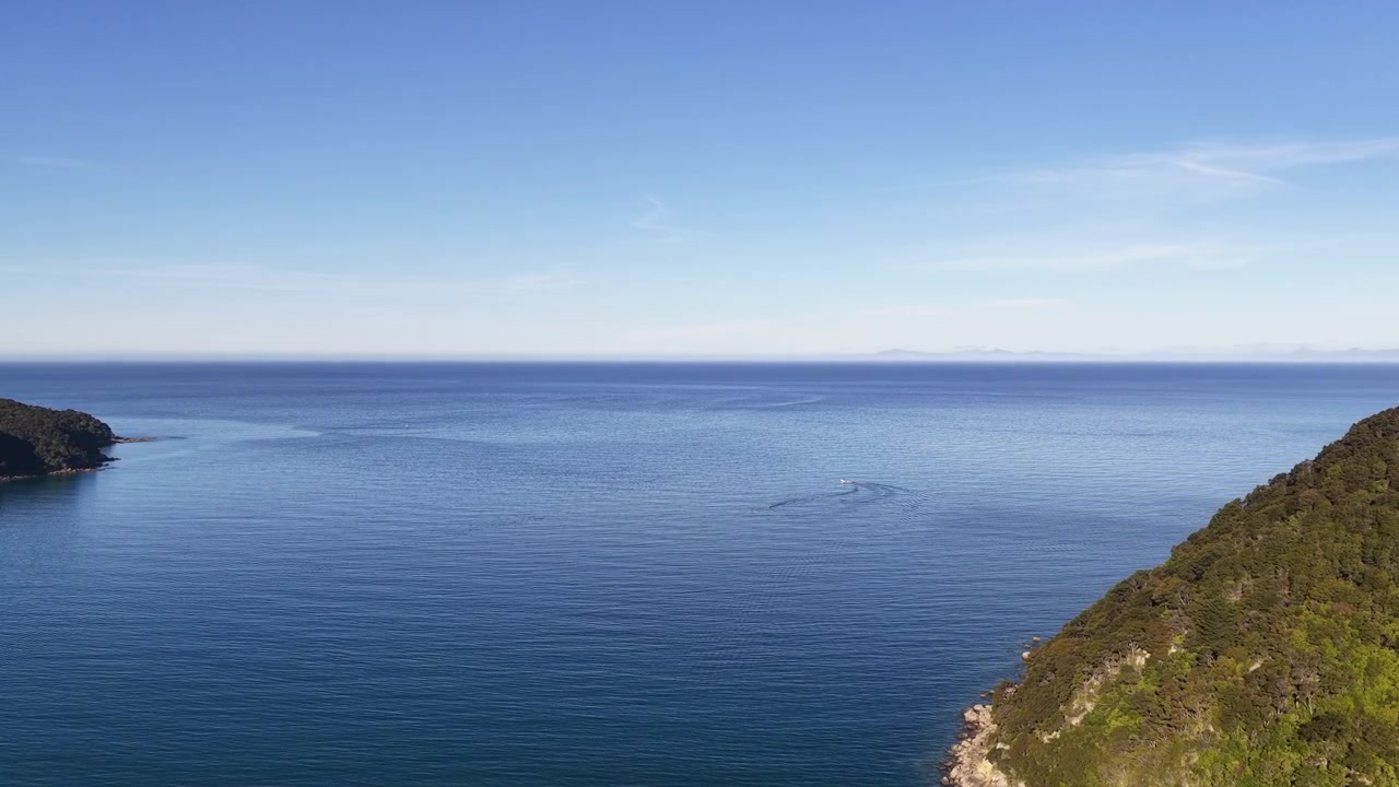 Malerische Drohnenansicht einer unberührten Küste, bewaldeter Landzungen und des ruhigen blauen Ozeans in Neuseeland, Natur- und Umweltansicht.