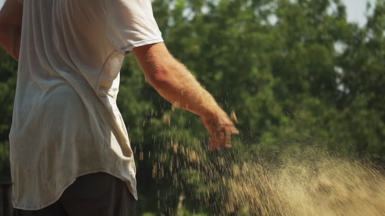 땅이 있는 작은 화분에 씨를 심고 물을 주는 것