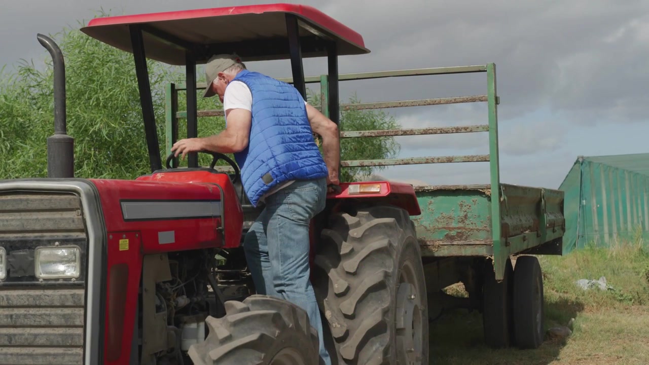 Uomo anziano che afferra una ringhiera, sale su un trattore, controlla i comandi in una fattoria, con cuori verdi-viola sopra di lui.