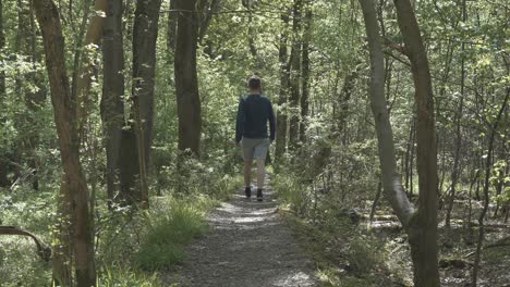 man walking along forest footpath