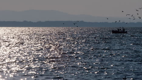 un pequeño barco pesquero recorre el lago seguido de pájaros voladores