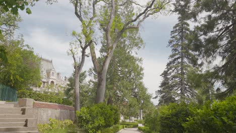 camino del parque con árboles y casa