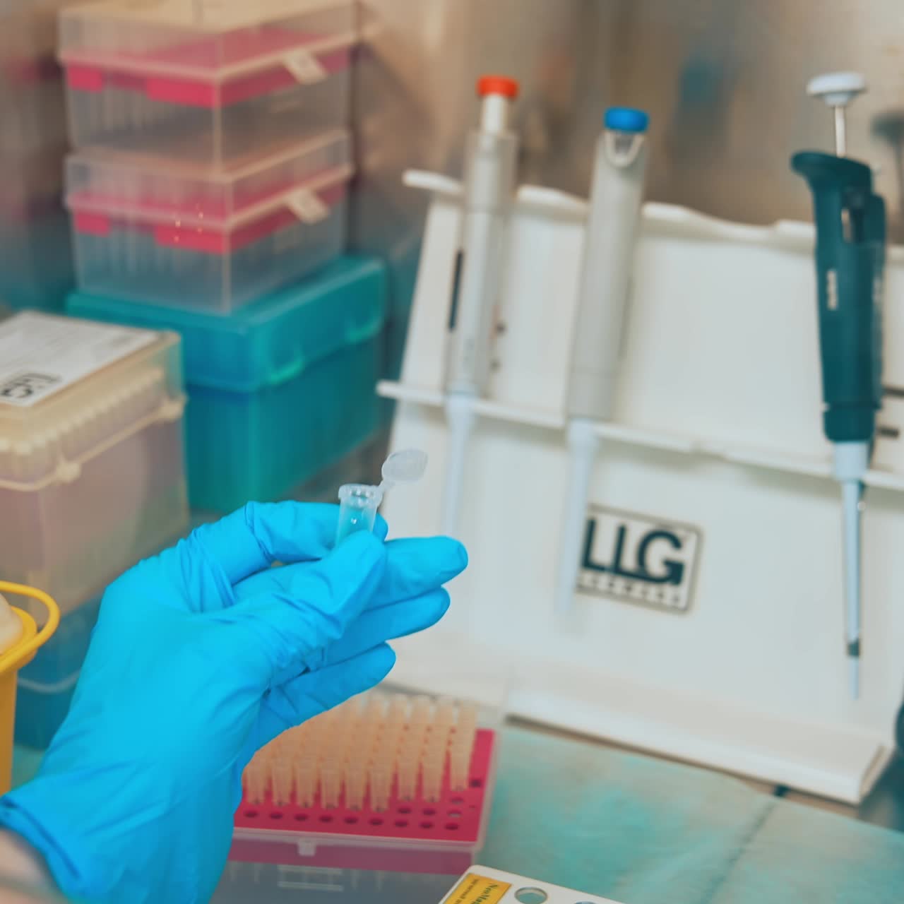Hand holding test tubes in laboratory. Close up of test tube for taking patient specimen sample