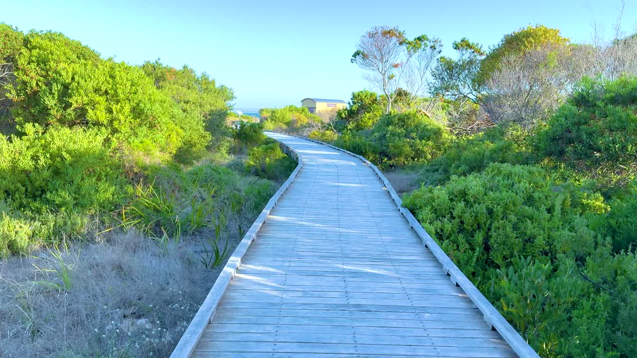 A serene wooden path winds through lush coastal vegetation under bright daylight in Queenscliff, Victoria, Australia