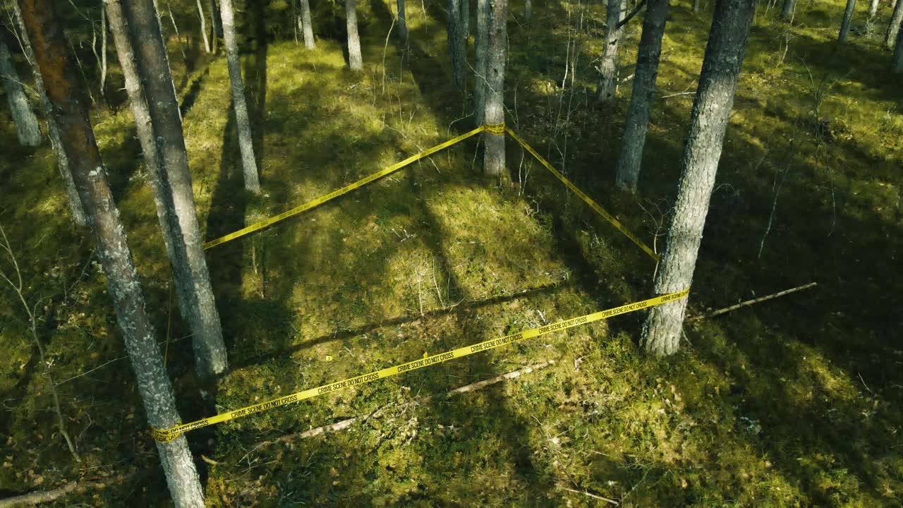 High angle aerial shot slowly moving over a mysterious crime scene cordoned off with yellow police tape in the middle of a dense and wild pine forest with green moss on the ground
