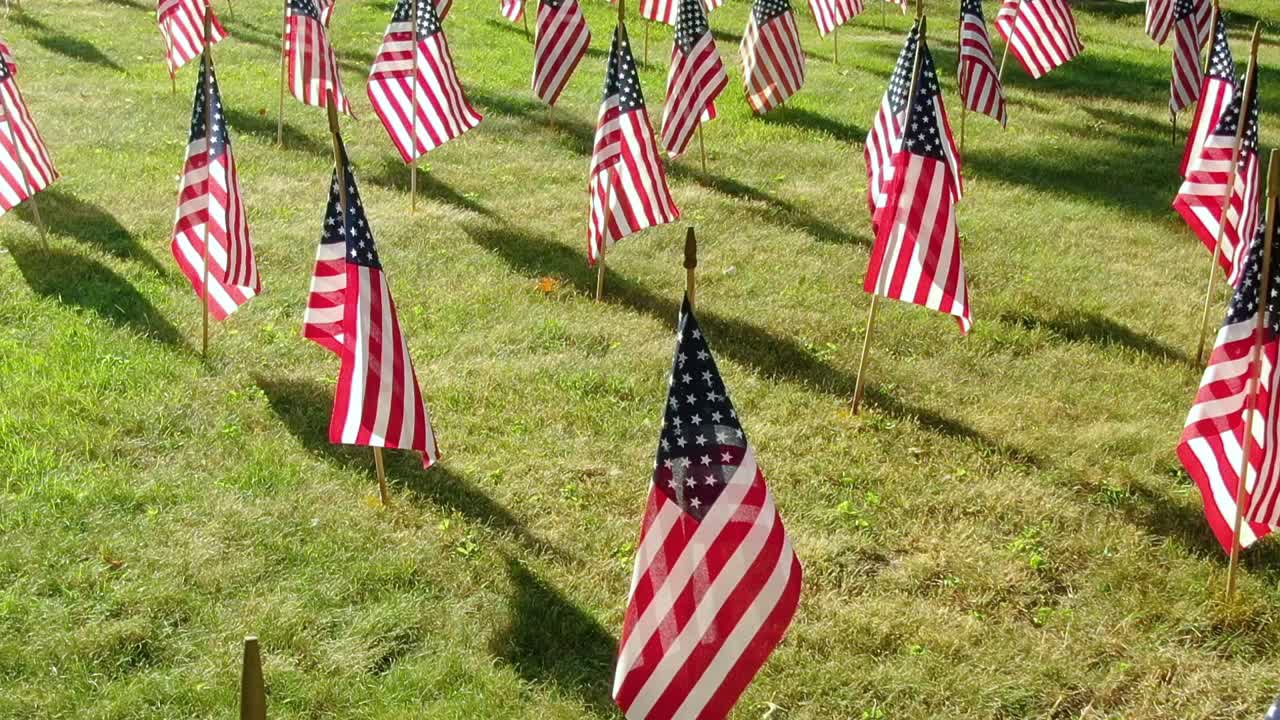 Morning view of groups of American flags swinging and decorated for Independence Day, Veterans Day, Flag Day, Memorial Day