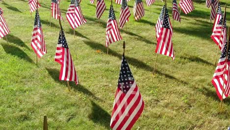 Vista-Matutina-De-Grupos-De-Banderas-Americanas-Balanceándose-Y-Decoradas-Para-El-Día-De-La-Independencia,-Día-De-Los-Veteranos,-Día-De-La-Bandera,-Día-Conmemorativo