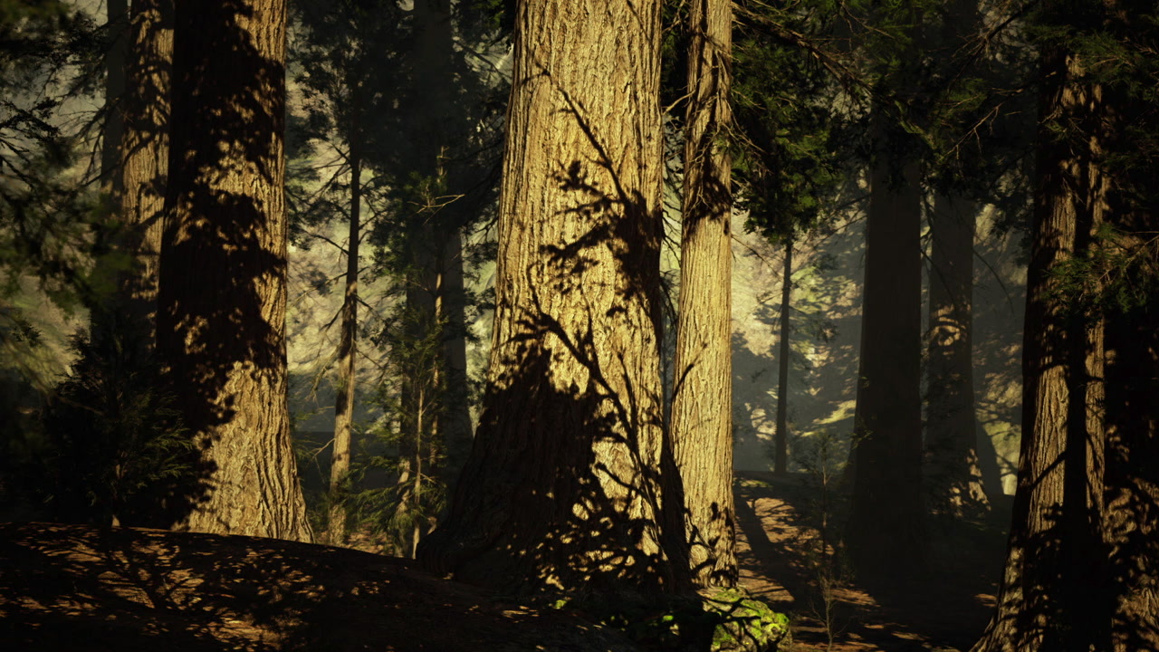 Quiet rural landscape boasting rich vegetation and subtle shade effects