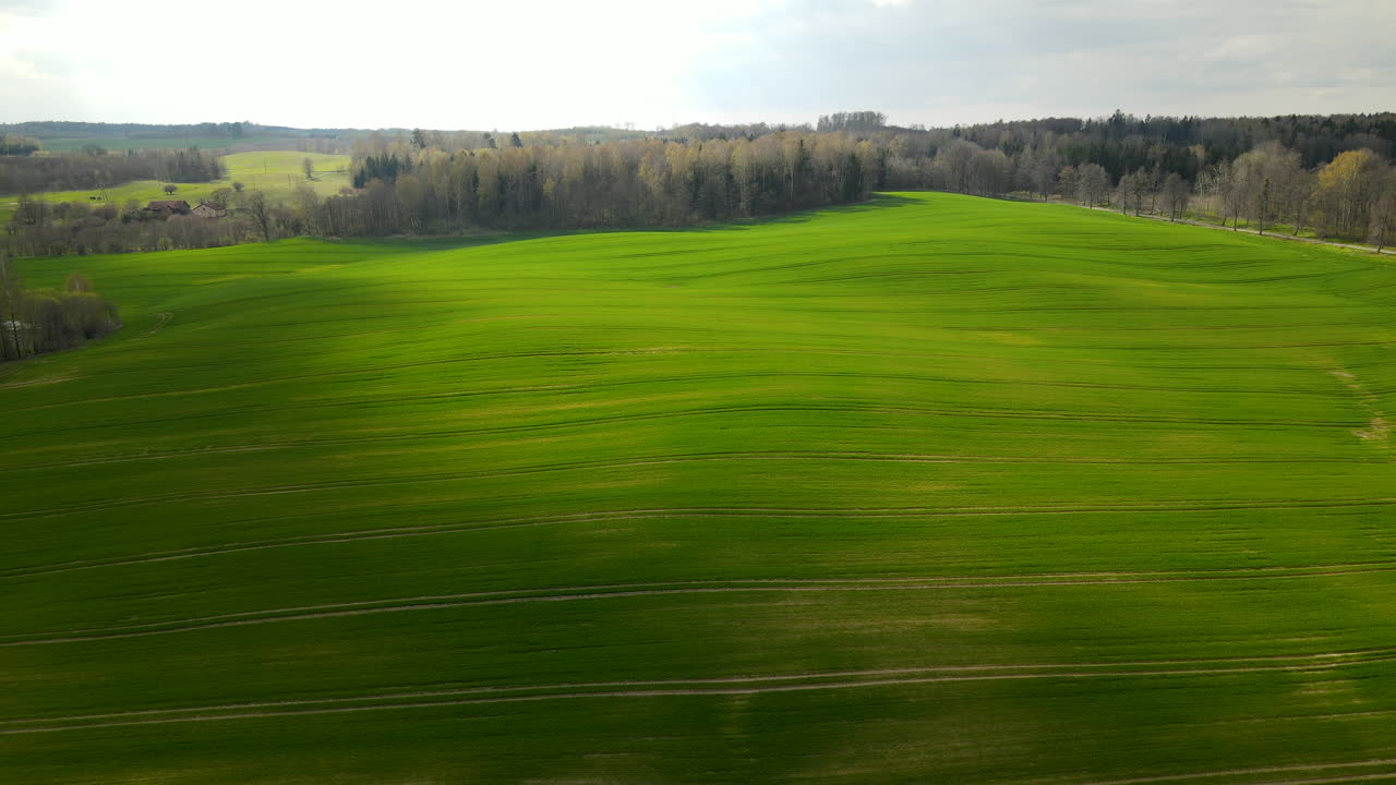 Lush green fields with tyre tracks in the Polish countryside