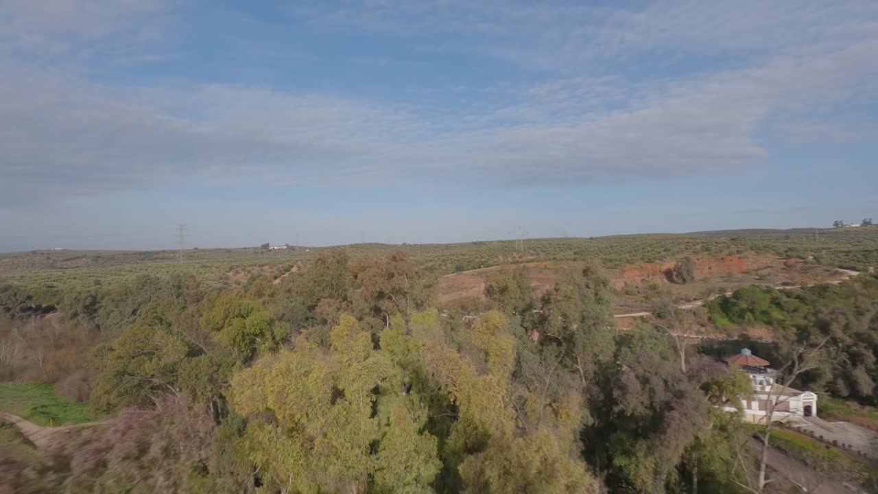 A drone skims the tree line above an olive grove on an estate in Ja&eacute;n, Spain