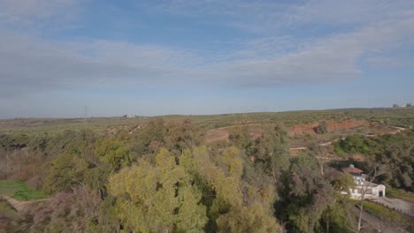 A-drone-skims-the-tree-line-above-an-olive-grove-on-an-estate-in-Jaén,-Spain