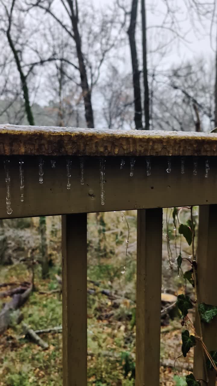 Atlanta’s January ice storm - Frozen ivy and icicles on a rustic wooden railing