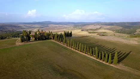 Italian-villa-with-cypress-tree-lined-road-on-the-Tuscan-countryside-near-Florence,-Aerial-dolly-out-shot