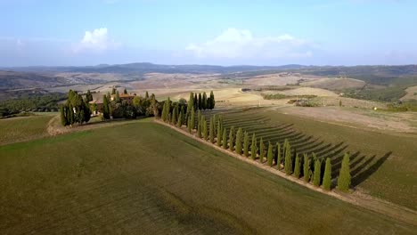 italian villa with cypress tree-lined road on the tuscan countryside near florence, aerial dolly-out shot