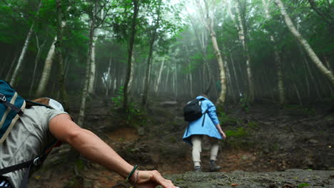 hikers in a misty mountain forest