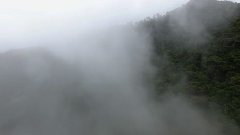 aerial flying through amazon forest mist fog on hillside