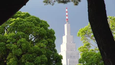 a view of skyscraper through trees