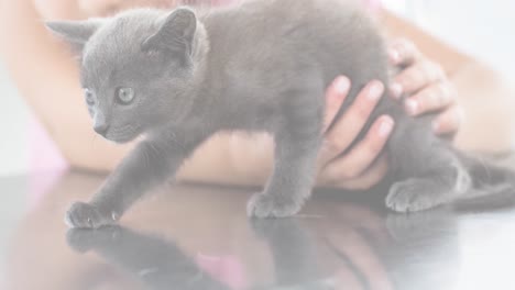 animation of caucasian girl holding cat