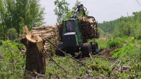 heavy machinery harvester collecting and loading timber logs in forest clearing area. industrial forestry equipment working among tree stumps and vegetation in managed woodland environment.