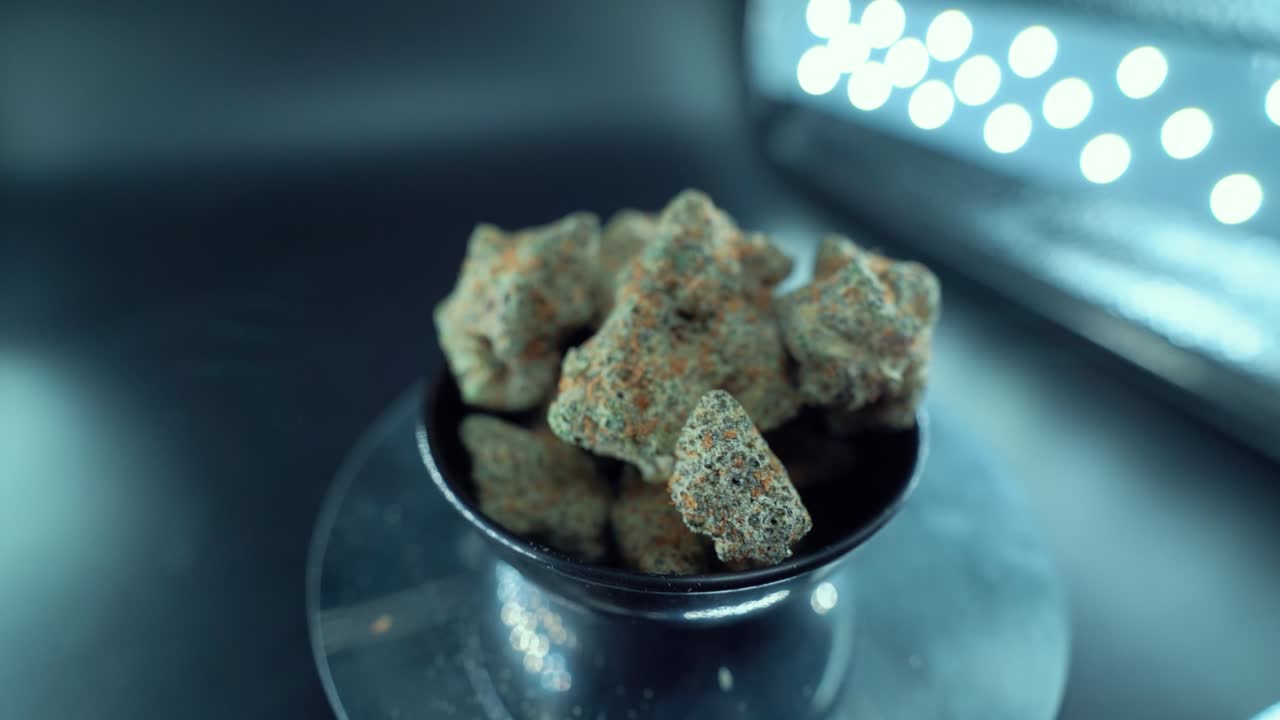 un zoom macro cinematográfico en movimiento de grúa suave toma de una planta de cannabis, cepas híbridas de naranja, tipo indica, flor de marihuana verde, cámara lenta 120 fps, luces de estudio, soporte giratorio brillante
