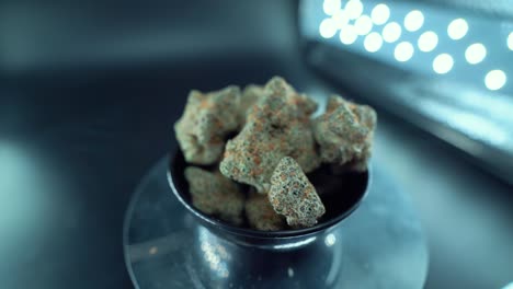 a cinematic macro zoom in smooth crane movement shot of a cannabis plant, hybrid orange strains, indica type, green marijuana flower, slow motion 120 fps, studio led lights, glowing rotating stand