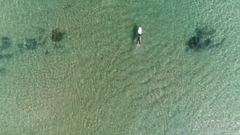 vista aérea de la cabeza del surfista remando en aguas claras pasando por encima de las olas y el oleaje