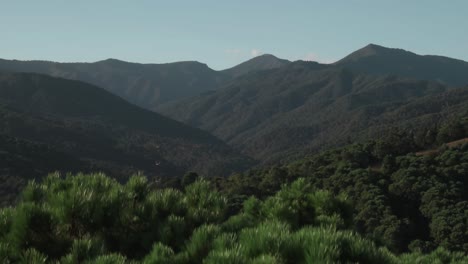 revelación aérea del bosque en las montañas