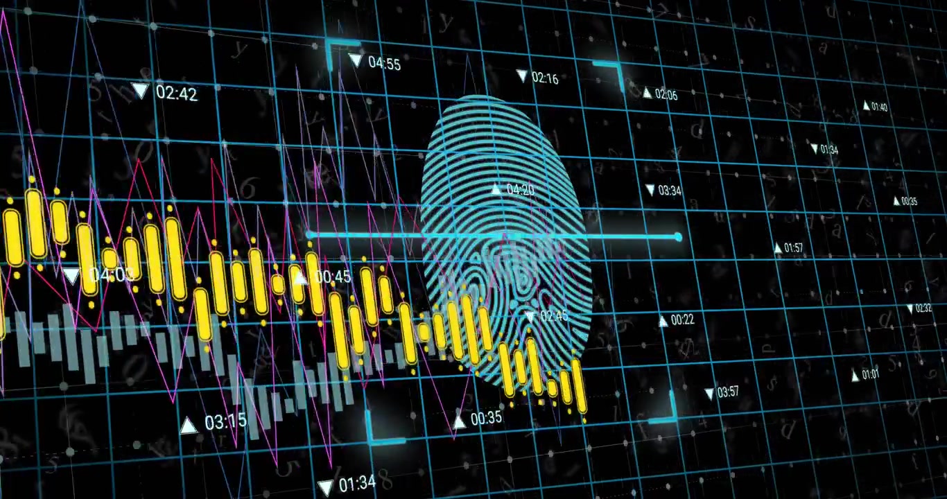 Animation of biometric fingerprint and financial data processing