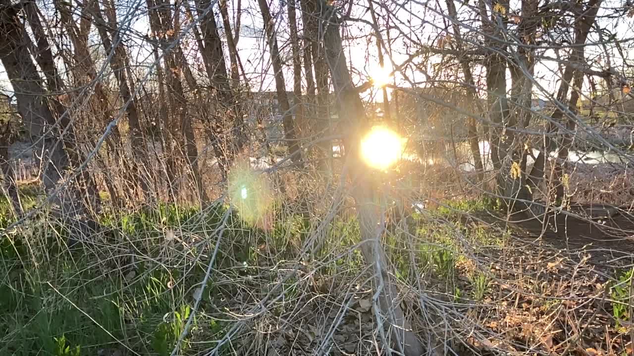 연못 근처 도시의 금색과 주황색 일몰