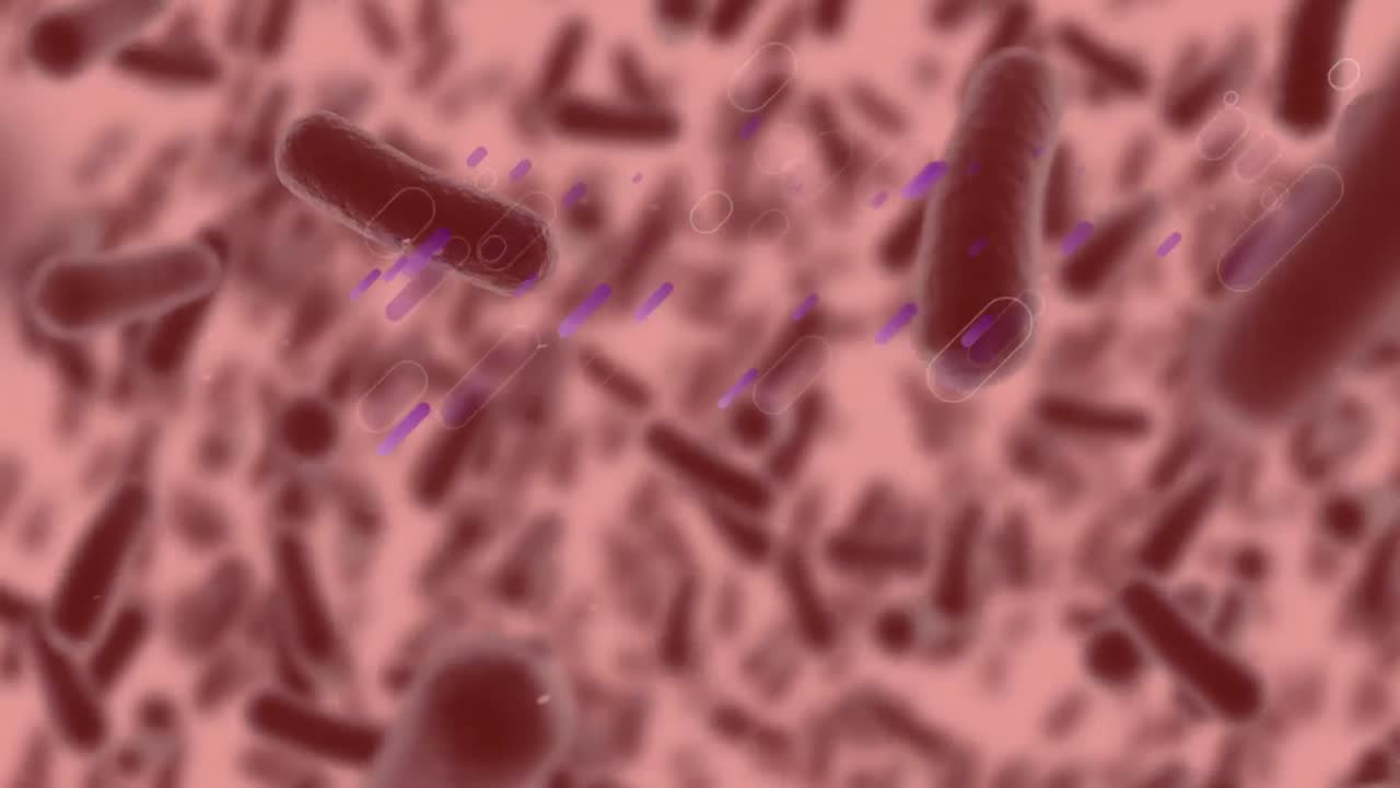 animación de células en movimiento sobre fondo rojo