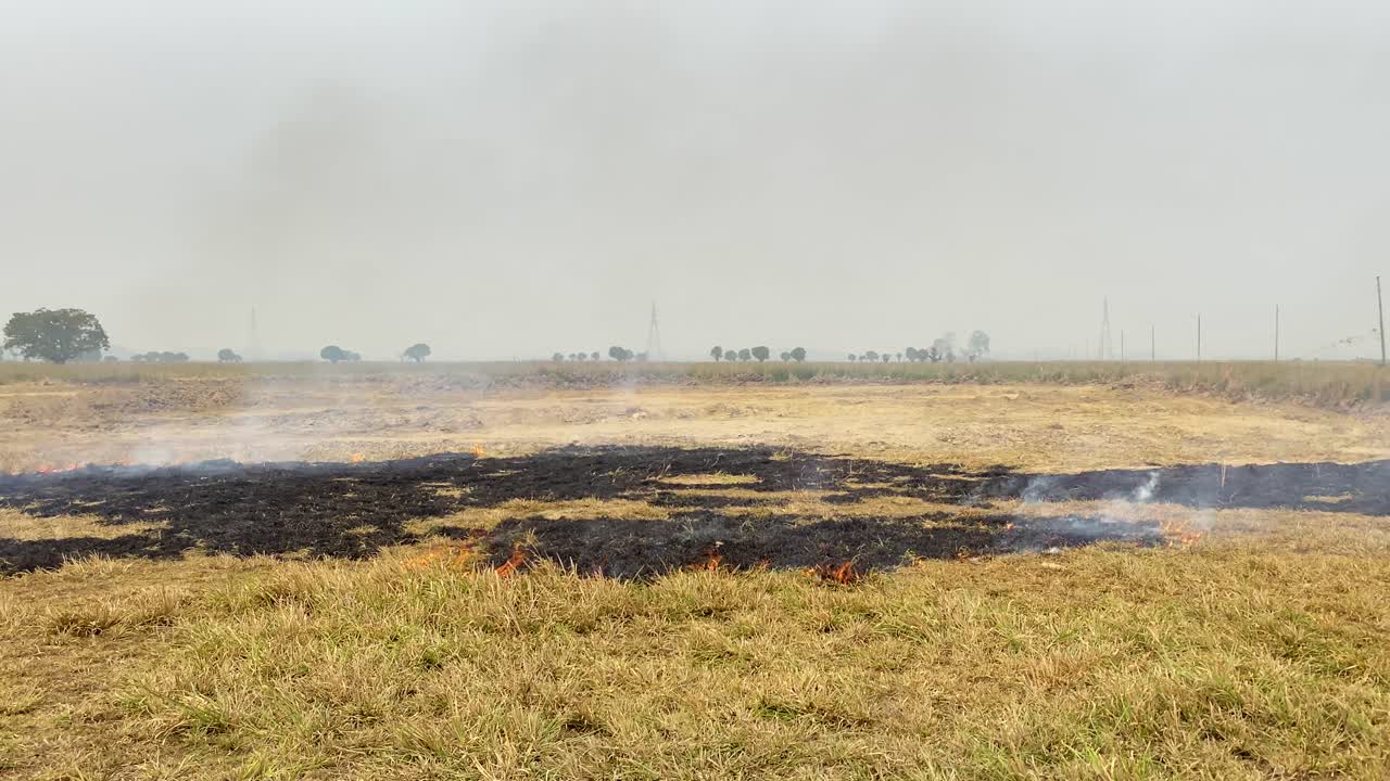 una toma panorámica captura la quema de tierras para proyectos industriales, un concepto de incendios forestales