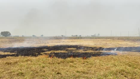 a panning shot captures land burning for industrial projects, a wildfire concept