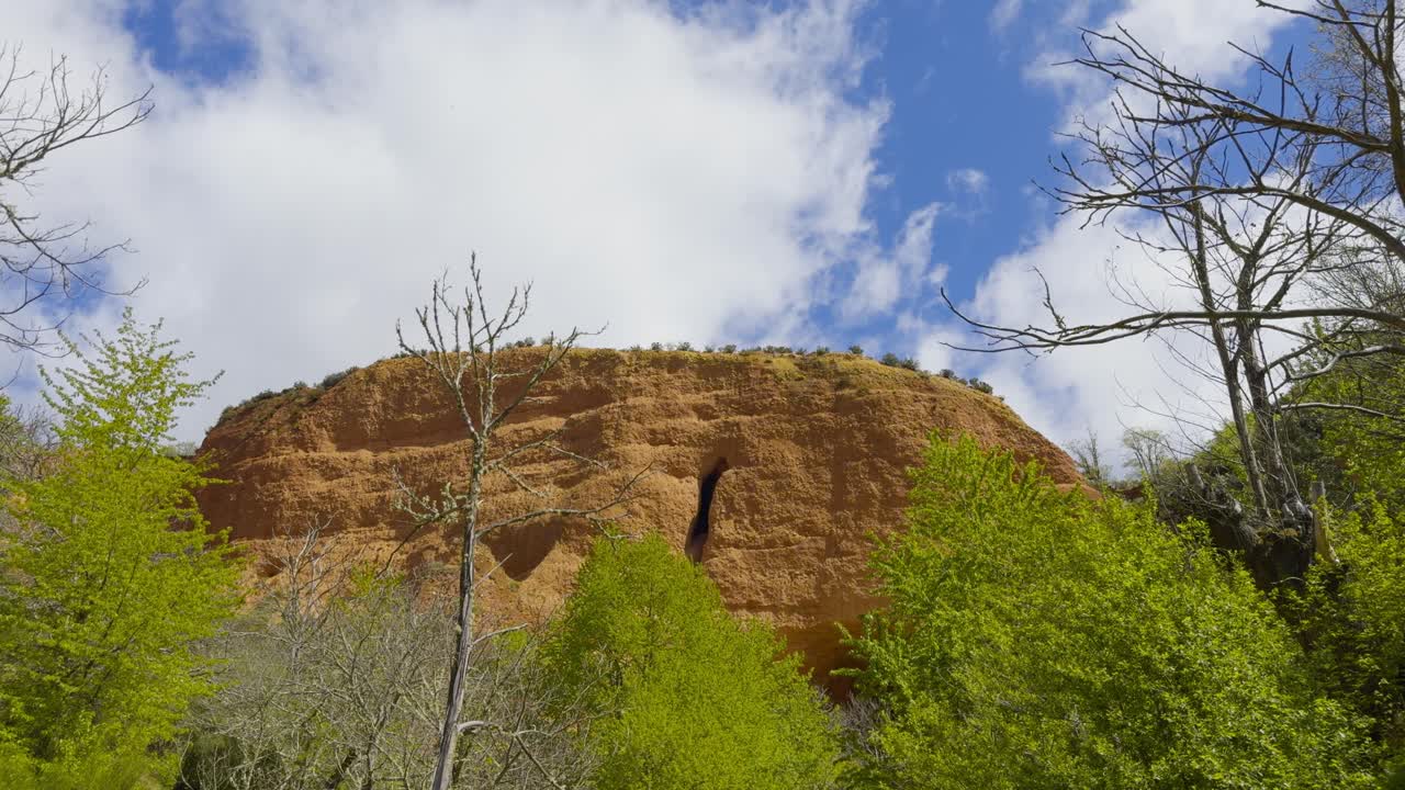 Beautiful Golden Mountains Surrounded By Vegetation Behind A Bunch Of Trees