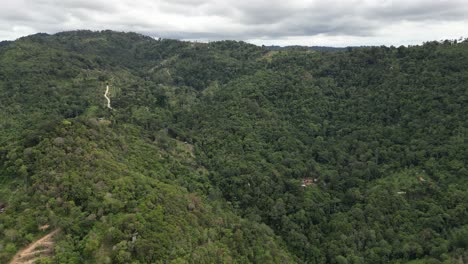 Toma-Aérea-De-Exuberantes-Montañas-Verdes-Con-Espeso-Bosque