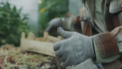 close-up of hands in gloves cleaning freshly harvested garlic bulbs