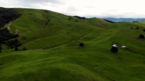 Paisaje-Montañoso-Verde-De-La-Zona-Rural-Típica-De-Nueva-Zelanda-Con-Tierras-De-Cultivo-Y-Ovejas---Drone-Aéreo