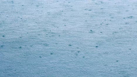 abstract background, rain drops on the water.