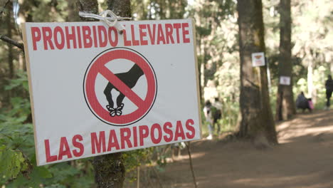 un cartel en español advirtiendo a la gente que no recoja las mariposas en la reserva de la biosfera de la mariposa monarca en méxico