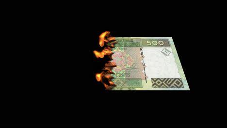 불타는 500 기니 프랑 지폐