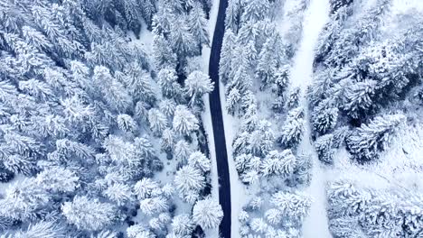 Vista-Aérea-De-Arriba-Hacia-Abajo-Vuelo-Lento-De-Un-Camino-Rural-En-Invierno-Entre-árboles-De-Hoja-Perenne-Cubiertos-De-Nieve