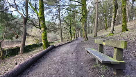 Winter-woodland-scene-showing-old-stone-built,-moss-covered-walls,-forest-lined-lakes