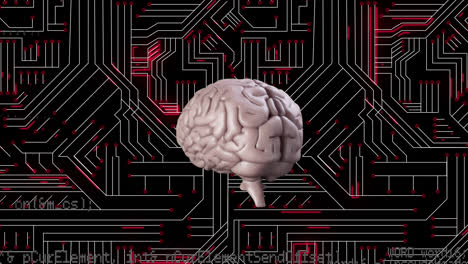 Animation-of-data-processing-and-digital-brain-over-computer-circuit-board-on-black-background