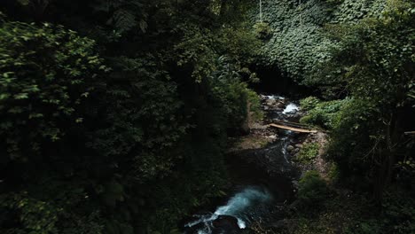 Bali-Indonesia-tropical-river-in-the-rain-forest