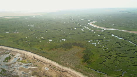 Drone-Shot-into-the-Sun-of-Natural-Green-Salt-Marsh-with-Creek-at-Low-Tide-in-Wells-Next-The-Sea-North-Norfolk-UK-East-Coast