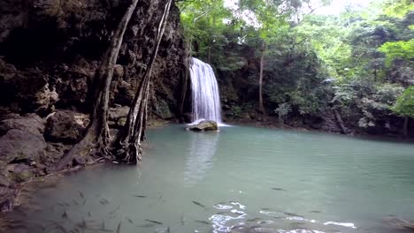 Cascada-Tropical-En-Medio-De-La-Jungla-De-Un-Parque-Nacional-Con-Escuela-De-Peces-Nadando-En-La-Piscina