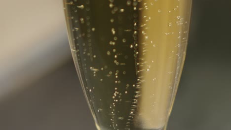 close-up of sparkling champagne bubbles in a glass
