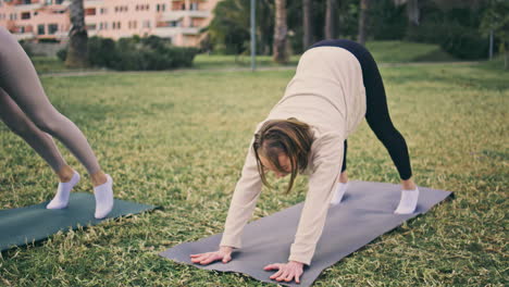 yogi girls stretching body at green park. relaxed women performing yoga asana