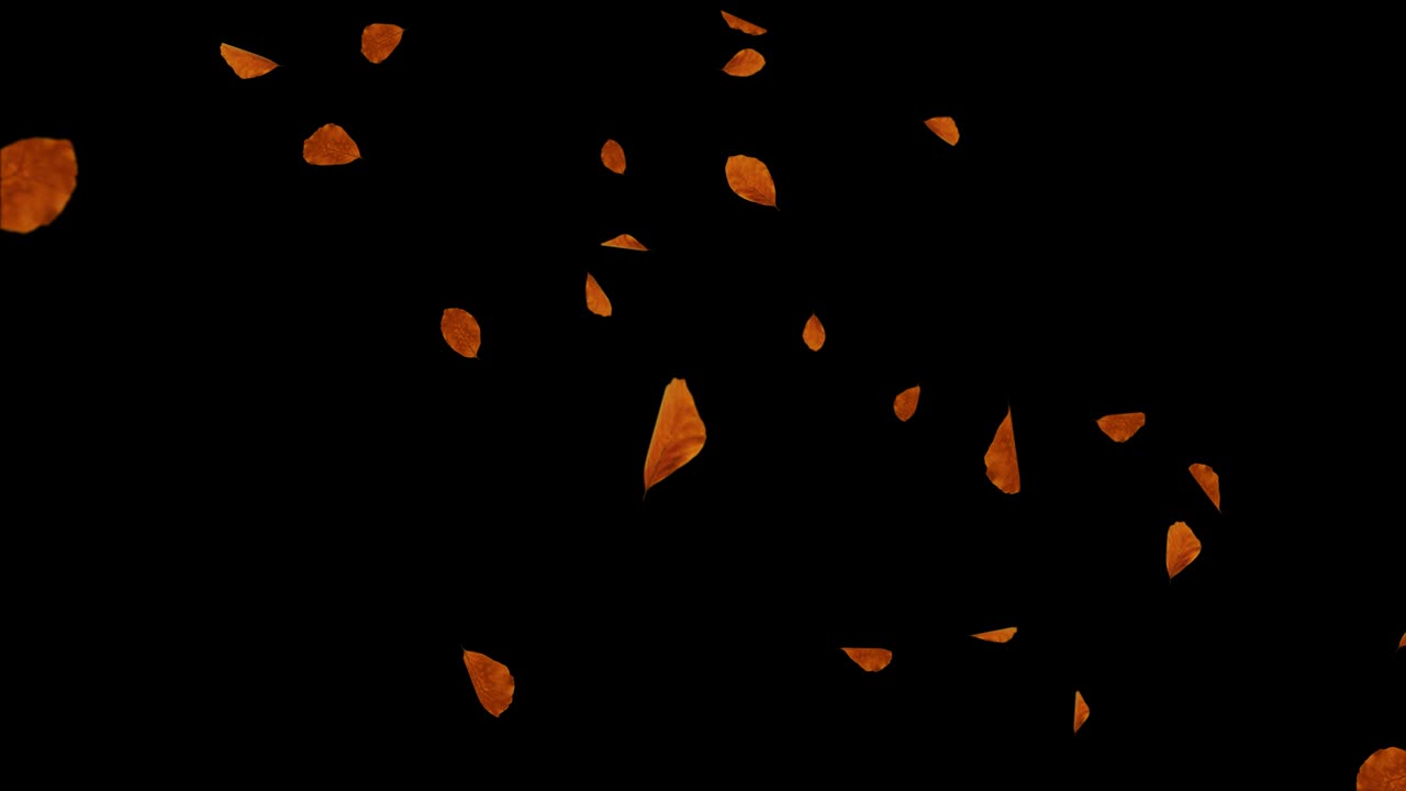 Falling autumn yellow leaves slow motion, isolated on alpha channel Loop Background 3D 4K Aniamtion