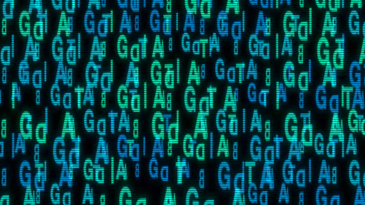 gran análisis de datos texto animado finanzas cinéticas fintech wordscape ai software de inteligencia artificial