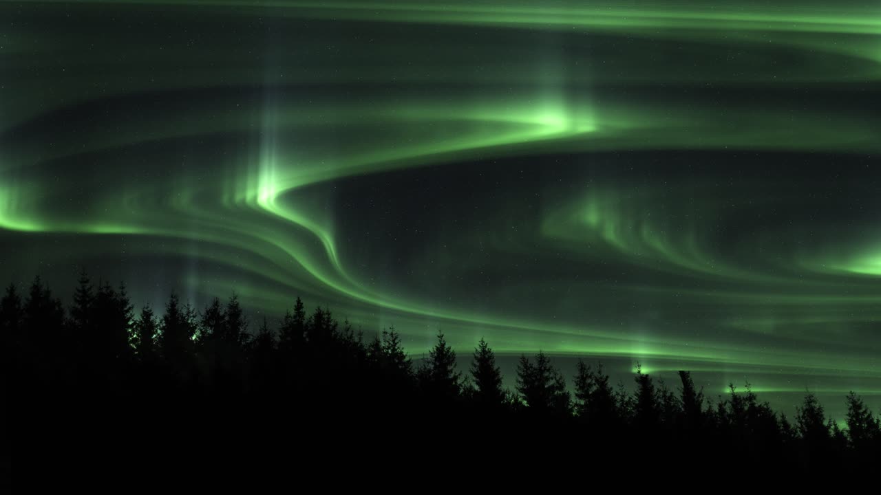 aurora boreal moviéndose a través del cielo nocturno sobre el bosque de coníferas - ángulo bajo